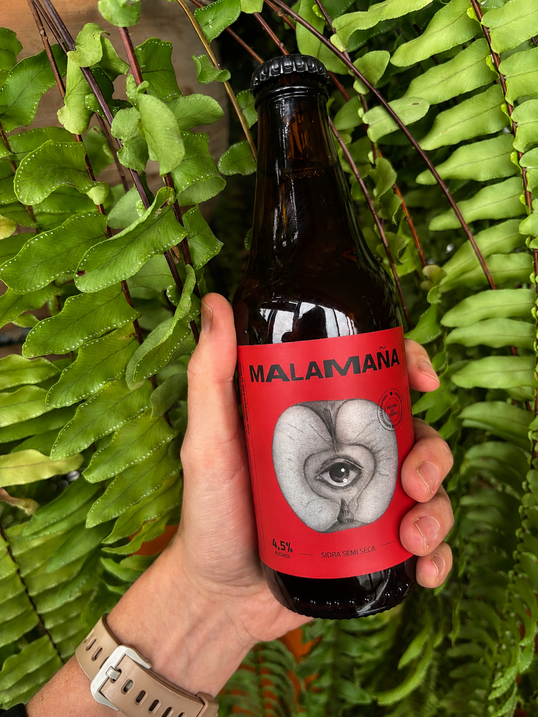 MALAMAÑA - sidra semi seca